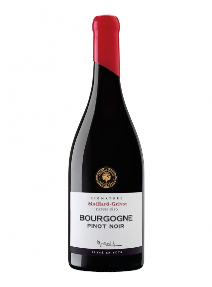 Pinot Noir Bourgogne AOC - Domaine Moillard 2022
